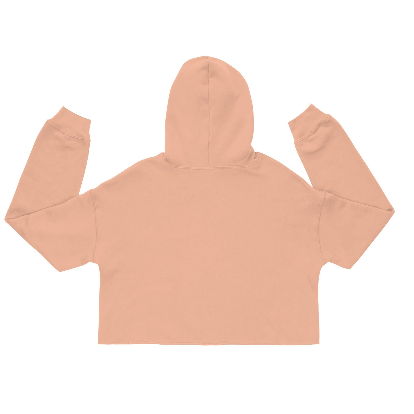 Crop Hoodie Nike - R - DRESS